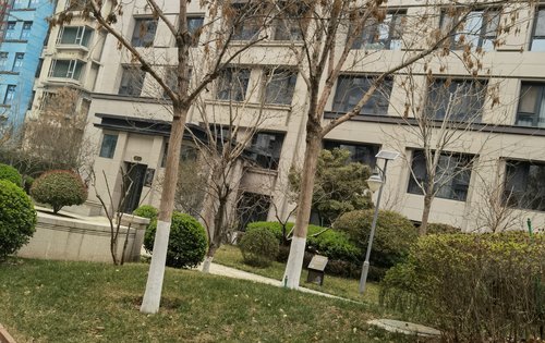 阳光东尚一期香樟园,高品质住宅小区,全国范围内遴选布迪椰子,香樟树