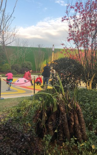 武冈·乾道大院