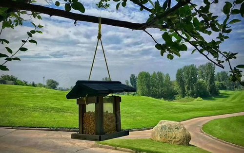 思念果岭社区实景拍摄美景无处不在