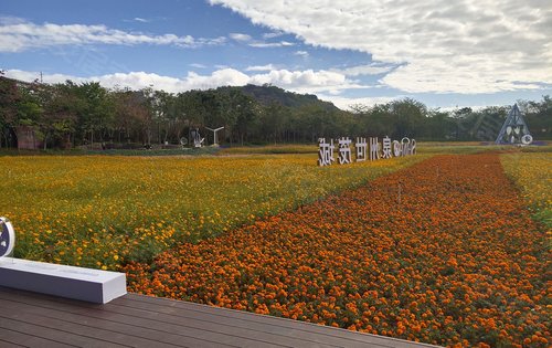 泉州世茂城動態:花海公園裡的房子,接近自然,貼近自然-泉州安居客