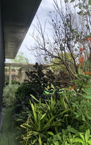 万科万荟花园 小区园林绿化,空气质量很好