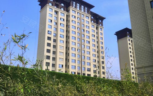 皓月天墅5层花园洋房1楼送花园下跃