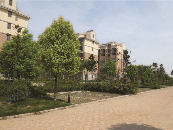 绿洋·万家花城,淮北绿洋·万家花城房价,楼盘户型,周边配套,交通地图