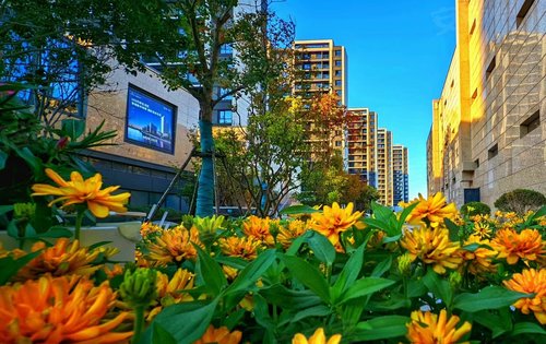 小区已经交房不同时间段小区楼栋外观实景拍摄