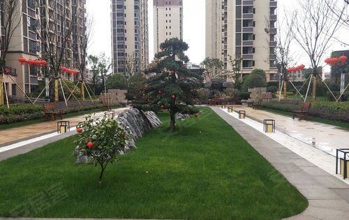 吉水达观洲悦小区实景图