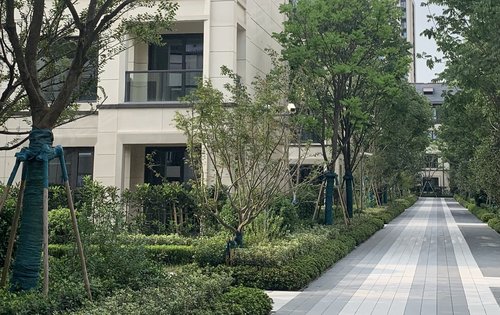 上海楼盘 奉贤楼盘 金汇楼盘 龙湖春江天玺 楼盘动态
