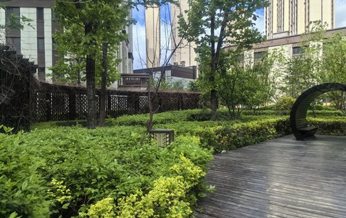 小区里的绿化景观