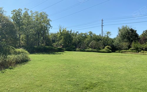 小区的公共绿化以及草坪