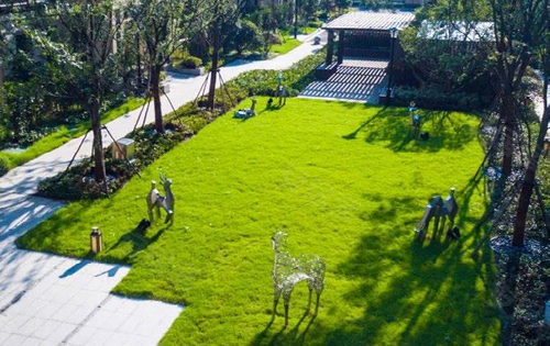 小区内场景,比如草坪,绿植