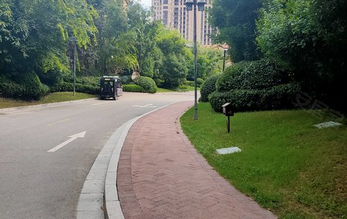 小区卫生干净整洁物业服务更加贴心