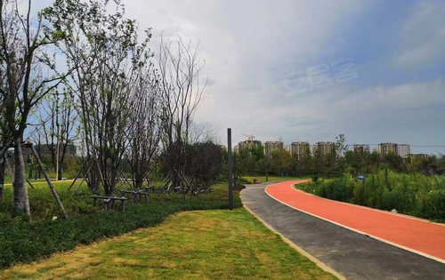 新滨湖孔雀城动态:上湖公园实景-合肥安居客