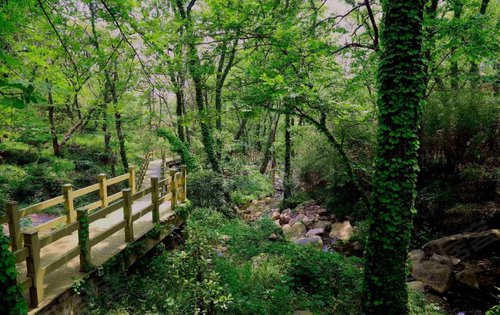 项目旁的花果山公园