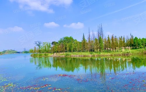 黄泗浦生态园图片图片