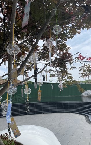 售楼部门前的树上挂满了风铃在等风也在等你