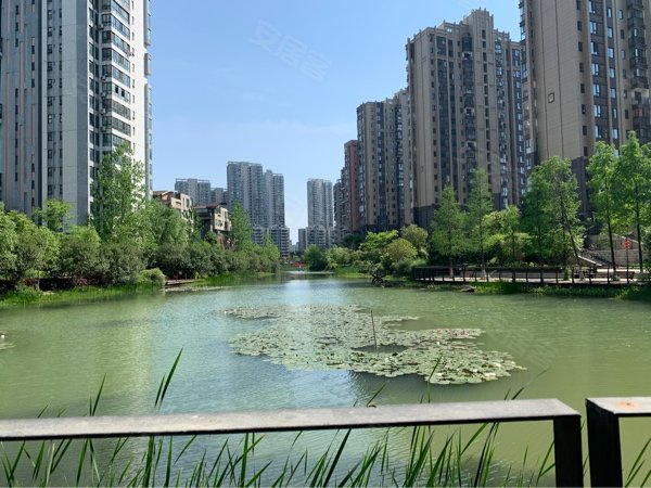 武汉清江山水九程怎么样,清江山水九程业主论坛,清江山水九程评论