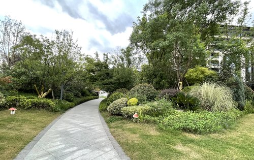 售楼部门口的景观绿化