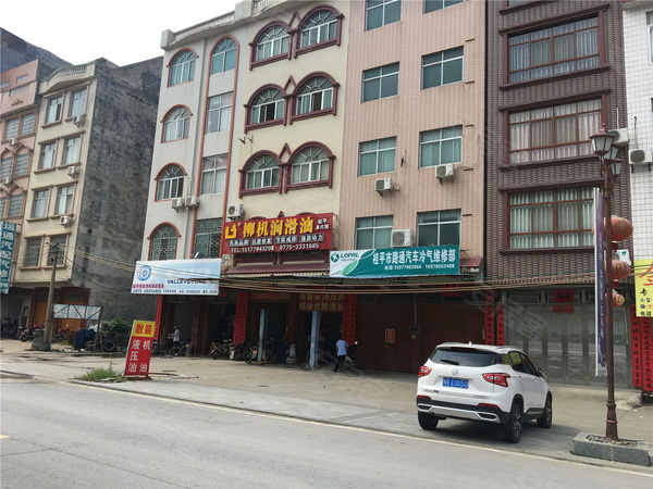 鼎盛·中央公园,桂平鼎盛·中央公园房价,楼盘户型,周边配套,交通地图,中山南路(客运站往岭头小学方向300米) - 安居客