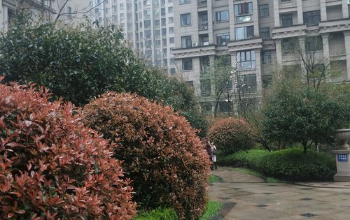 纳爱斯阳光丽城