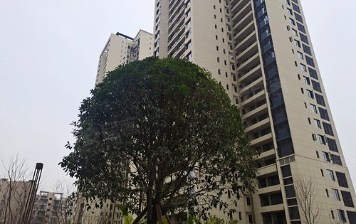 绿地万州城际空间站