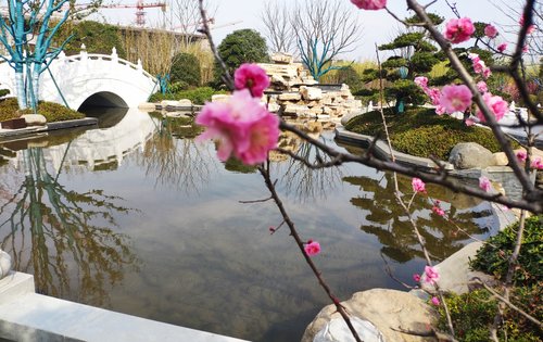 万振中国院子动态:紫蓬山中国院子纯别墅小区-合肥安居客