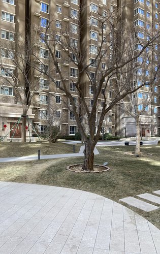 夏威夷蓝湾现房发售70年产权兴达物业