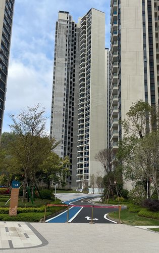 碧桂园中洲云麓花园