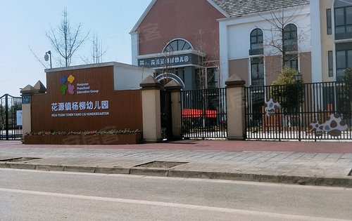 南京市鹤琴幼儿园杨柳图片
