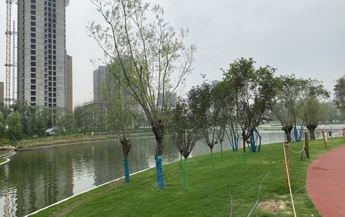 金輝長安雲築旁邊的長安中央公園飯後娛樂休閒好去處