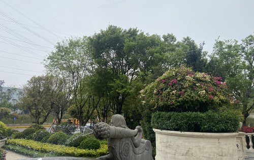 实地常春藤叠墅图片