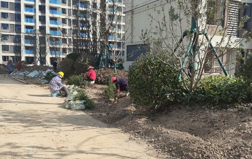 武汉卓越城动态:小区园林绿化工程进行时-武汉安居客