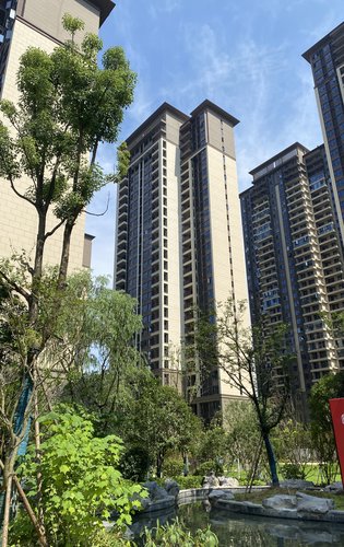 大汉汉府动态:大汉汉府一期交房现场-长沙安居客