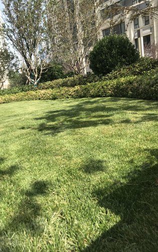 一期现房住宅万方阳光草坪