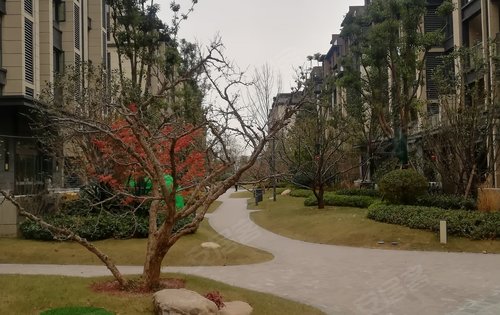 永威逸阳溪畔,实景呈现!环境优美,1.7容积率低密墅区