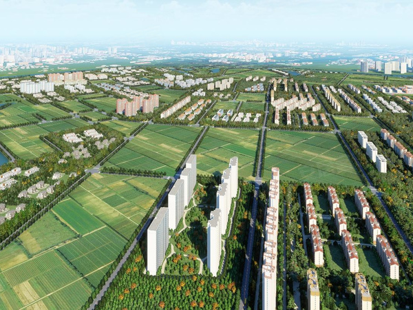 秦淮金茂府,南京秦淮金茂府房价,楼盘户型,周边配套,交通地图,校场大道以北、神机营路以西 - 安居客