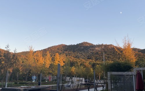 补发一张，南侧太山山体公园秋季风景！