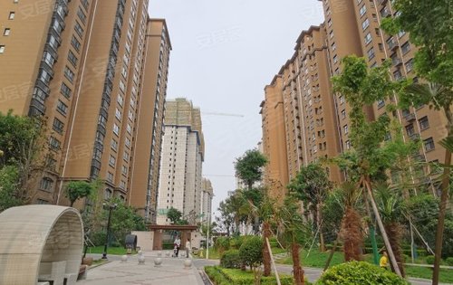 楼盘动态