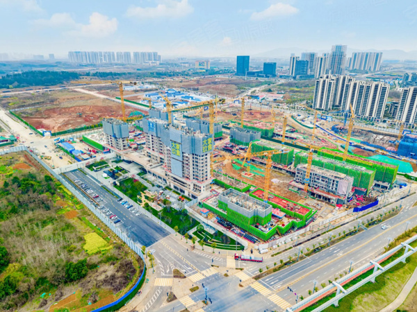 大家·玖宸,武汉大家·玖宸房价,楼盘户型,周边配套,交通地图,豹溪路与挽风路交汇处(大家玖宸营销中心) - 安居客