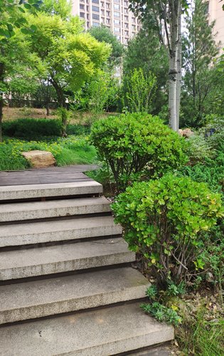 东山郡高品质人文居住理念小区环境优美给您一个温馨而舒适的家