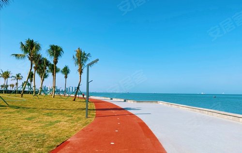 海湾花园动态:湾区地段,项目旁的滨海漫步道已投入使用-海口安居客
