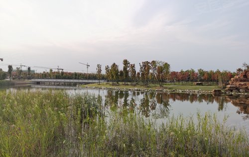 六安未来城市公园图片