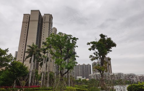 亞運城天瓏景觀視野無遮擋,北向望廣州足球俱樂部基地,觀大小浮蓮山