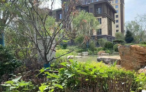 荣盛尊府动态:首府社区马上交房,户型格局好,环境好-廊坊安居客