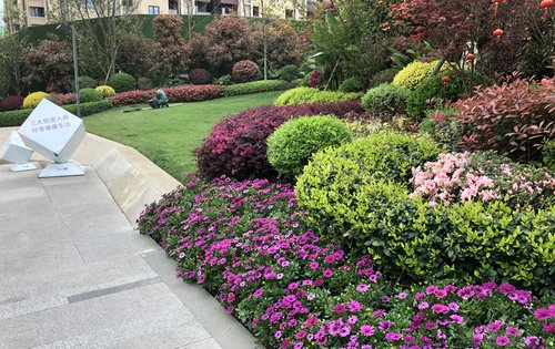 小区绿化实拍图