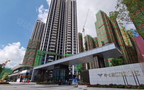 骄阳似火,奋斗不息隆生鹿江花园,67正在加速成长67繁华可期-惠州