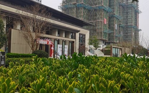 光明城投荷樾府