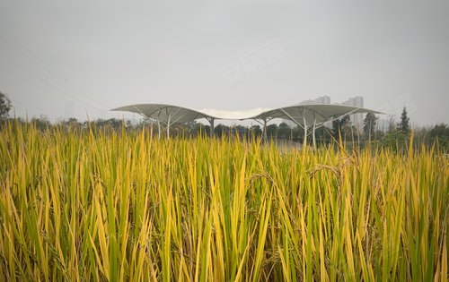 项目往南350米隆平中央公园打卡点击头像可了解更多详情哦