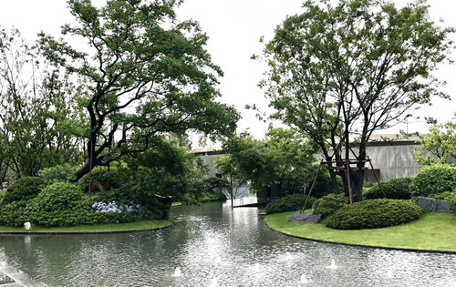 想體驗會呼吸的園林景觀就來湖西星辰吧雨後綠樹成蔭綠意盎然社會社會