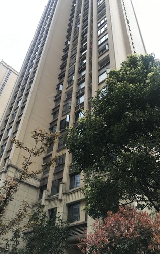 阳光城尚东湾动态:3期交付小区实拍,环境优美,绿意盎然,第十期嘉林苑