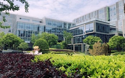 花园中的办公楼