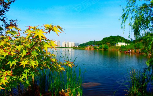 长沙西湖公园风景图片